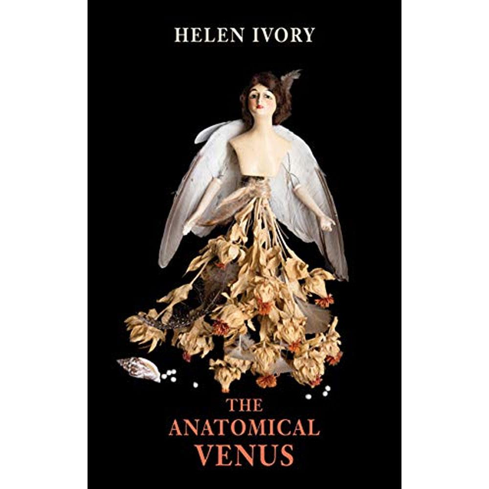 The Anatomical Venus By Helen Ivory (Paperback)